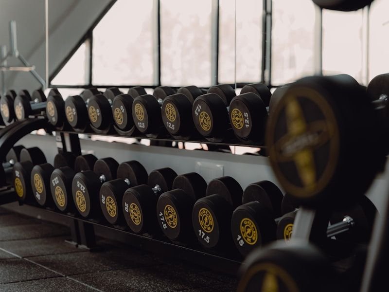 Free-weight zone with a full dumbbell rack