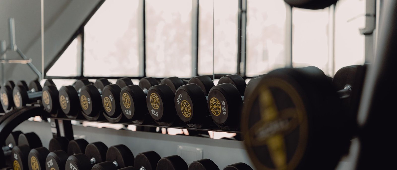 Dumbbell rack beside the window wall of the gym