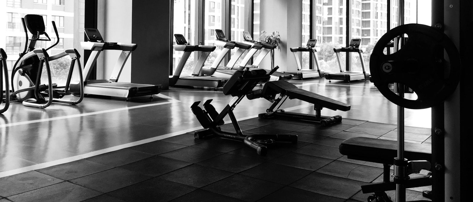 Cardio and resistance machines lined up on the gym floor
